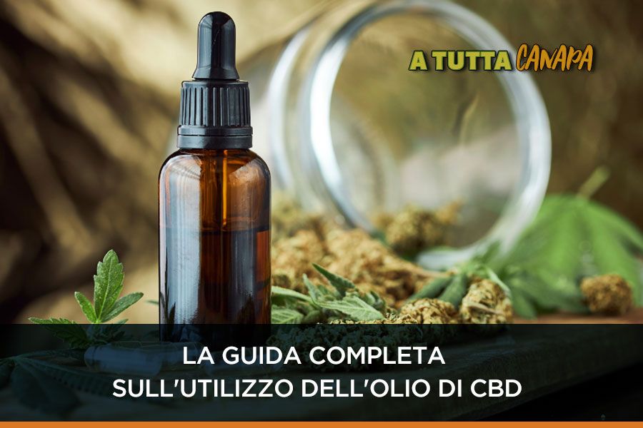La guida completa sull'utilizzo dell'olio di CBD