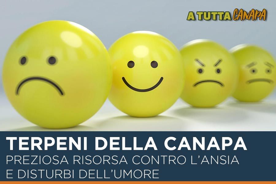 I-terpeni-preziosa-risorsa-per-il-trattamento-dell’ansia