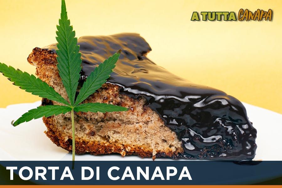 torta-di-canapa