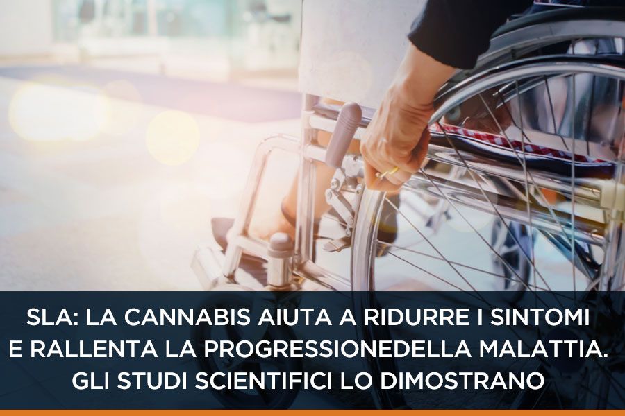 efficacia-della-cannabis-contro-la-SLA