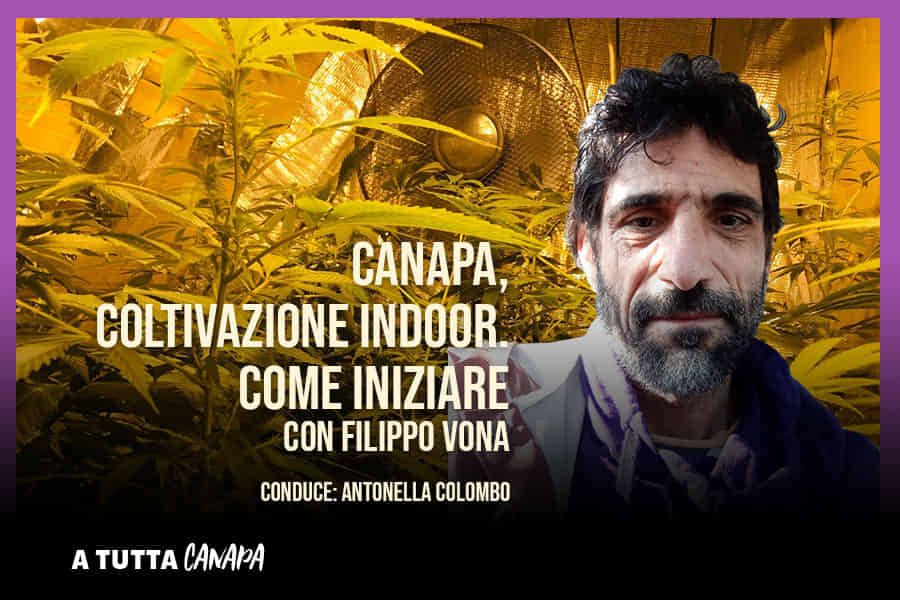 coltivazione-indoor.-come-iniziare