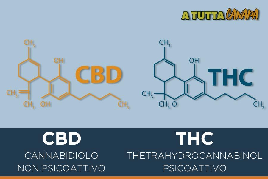 cbd-e-thc