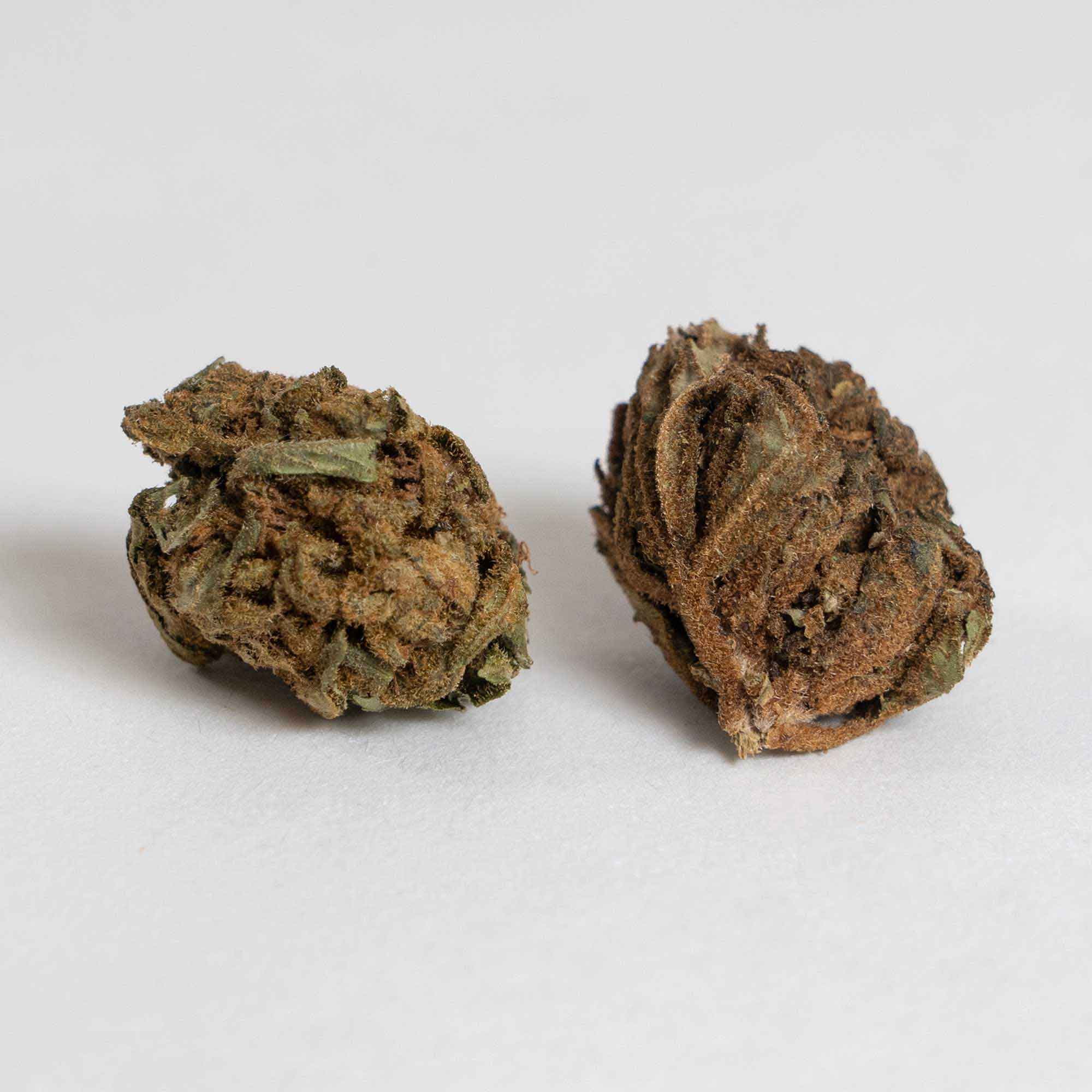 Inflorescenza_Lemon Inflorescenza_Lemon