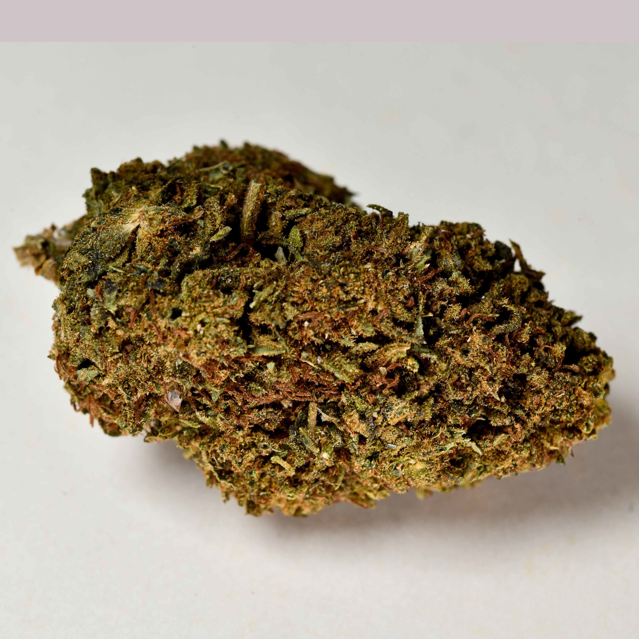 infiorescenza-legale-cannatonic-a-tutta-canapa