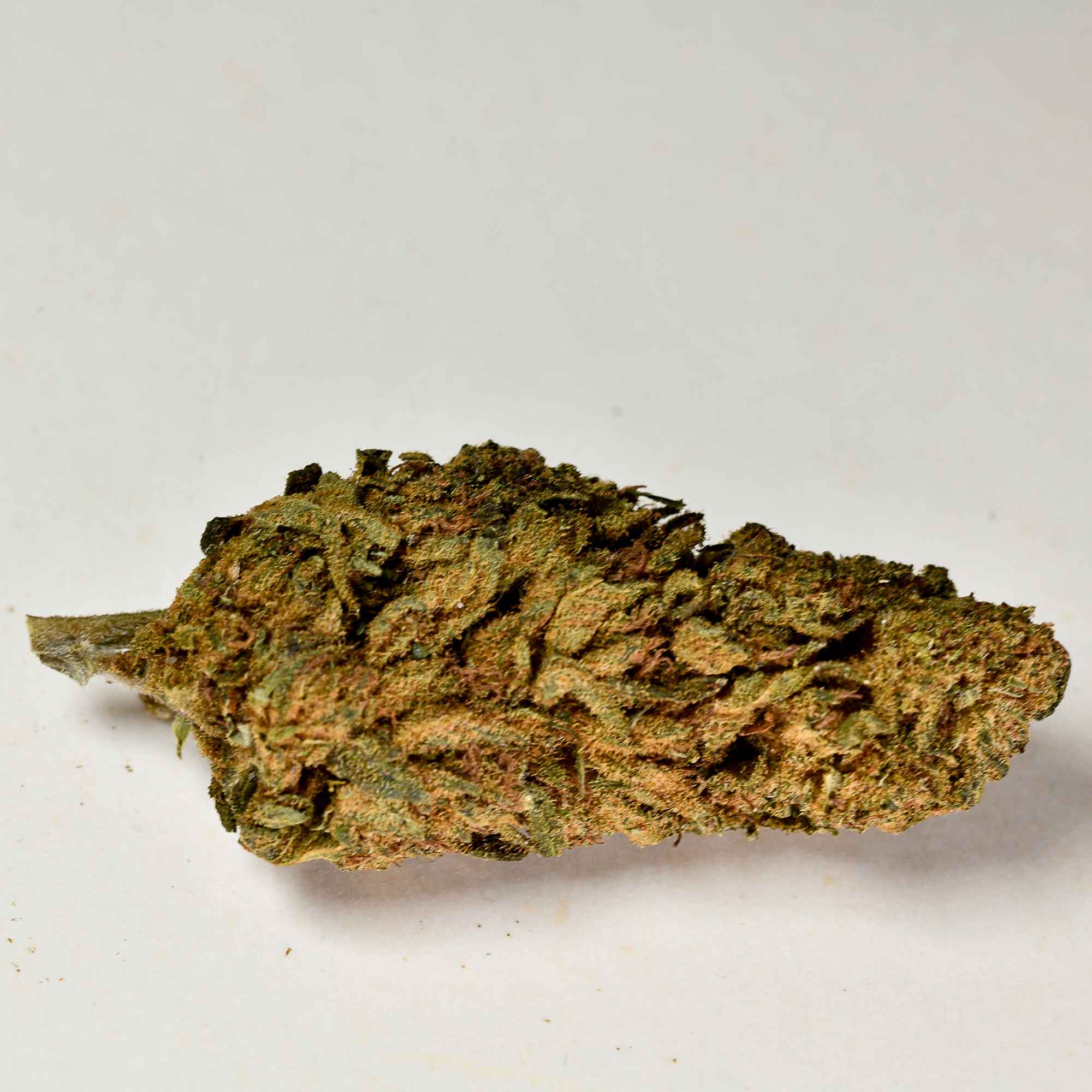 infiorescenza-legale-gelato-a-tutta-canapa infiorescenza-legale-gelato-a-tutta-canapa