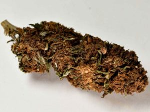 Remedy CBD 12%