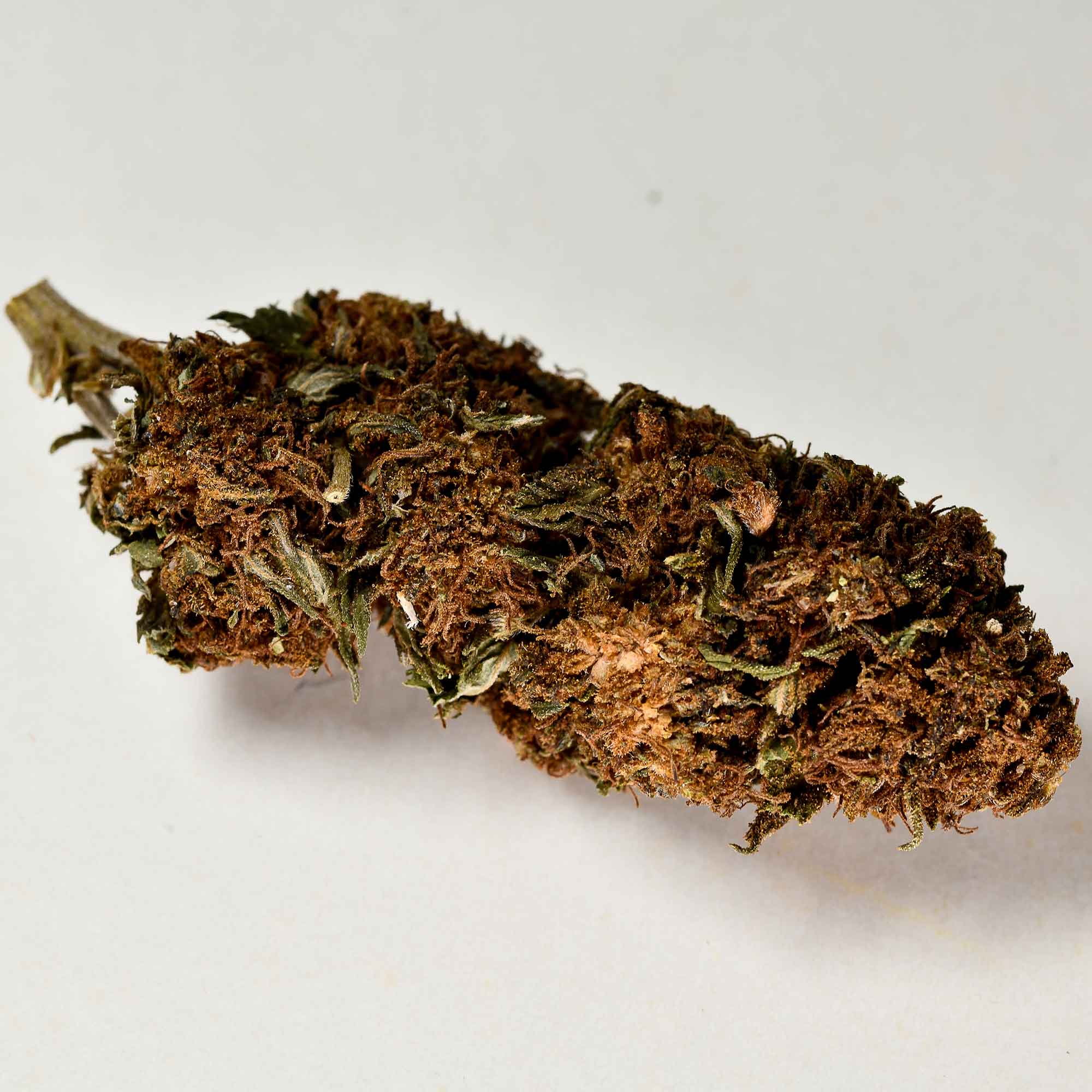 infiorescenza-legale-remedy-a-tutta-canapa