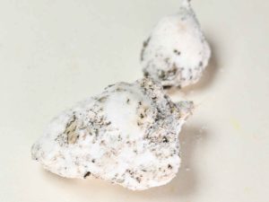 moonrock-ice-a-tutta-canapa