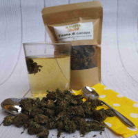 infuso-di-canapa-piccoli-germogli