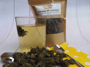 infuso-di-canapa-piccoli-germogli