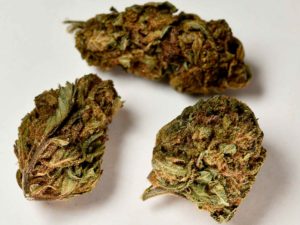 Cookies CBD 11%