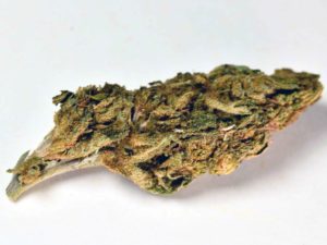 Lemon Cheese CBD 11%