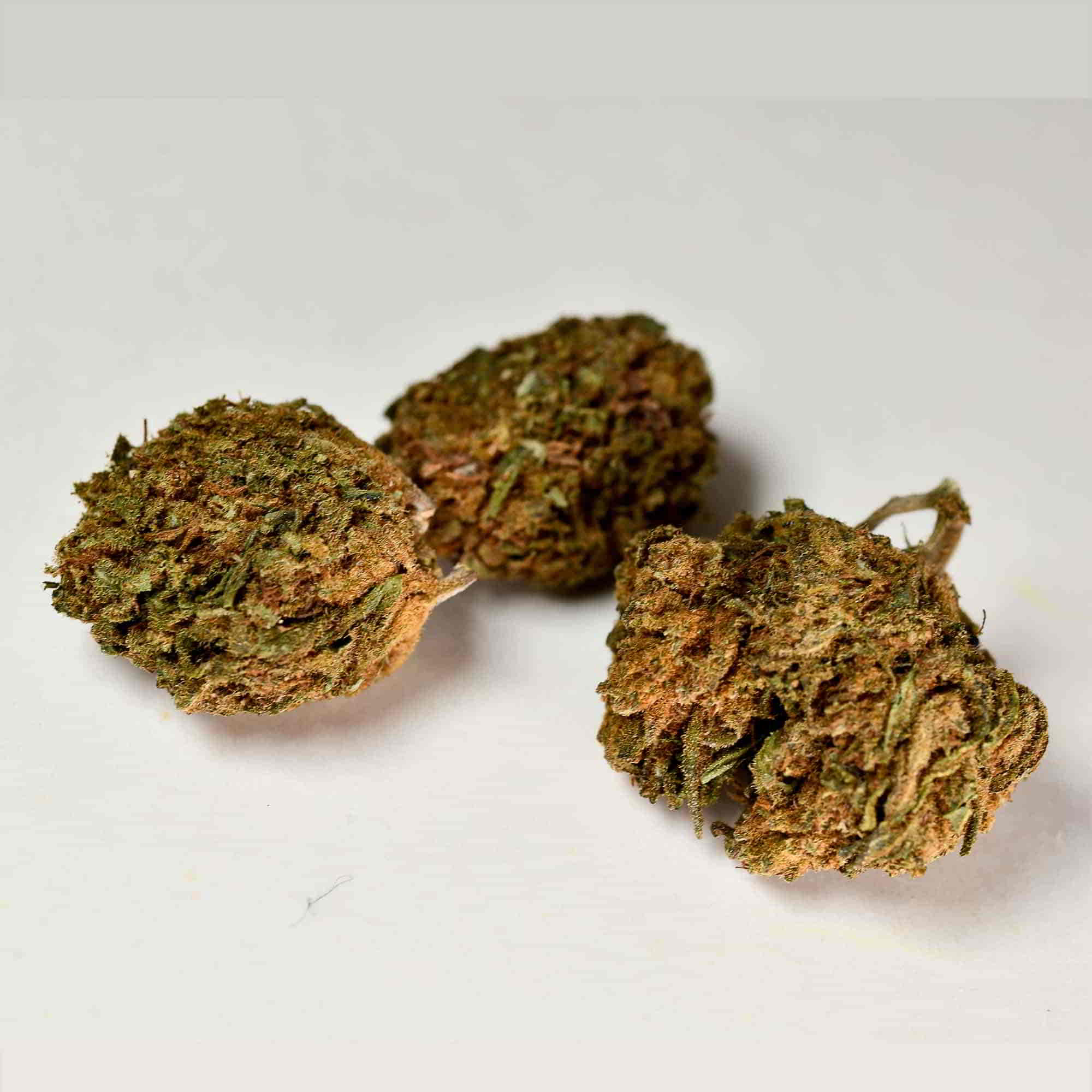 infiorescenza legale pinneapple - a tutta canapa infiorescenza legale pinneapple - a tutta canapa