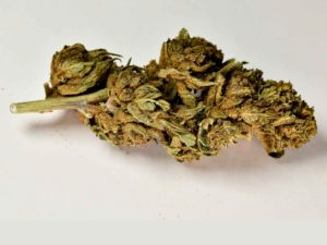 Purple Punch CBD 10%