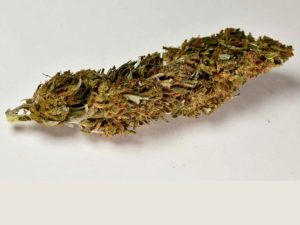 Red Berry CBD 8%