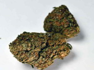 Strawberry M1 11% Cbd