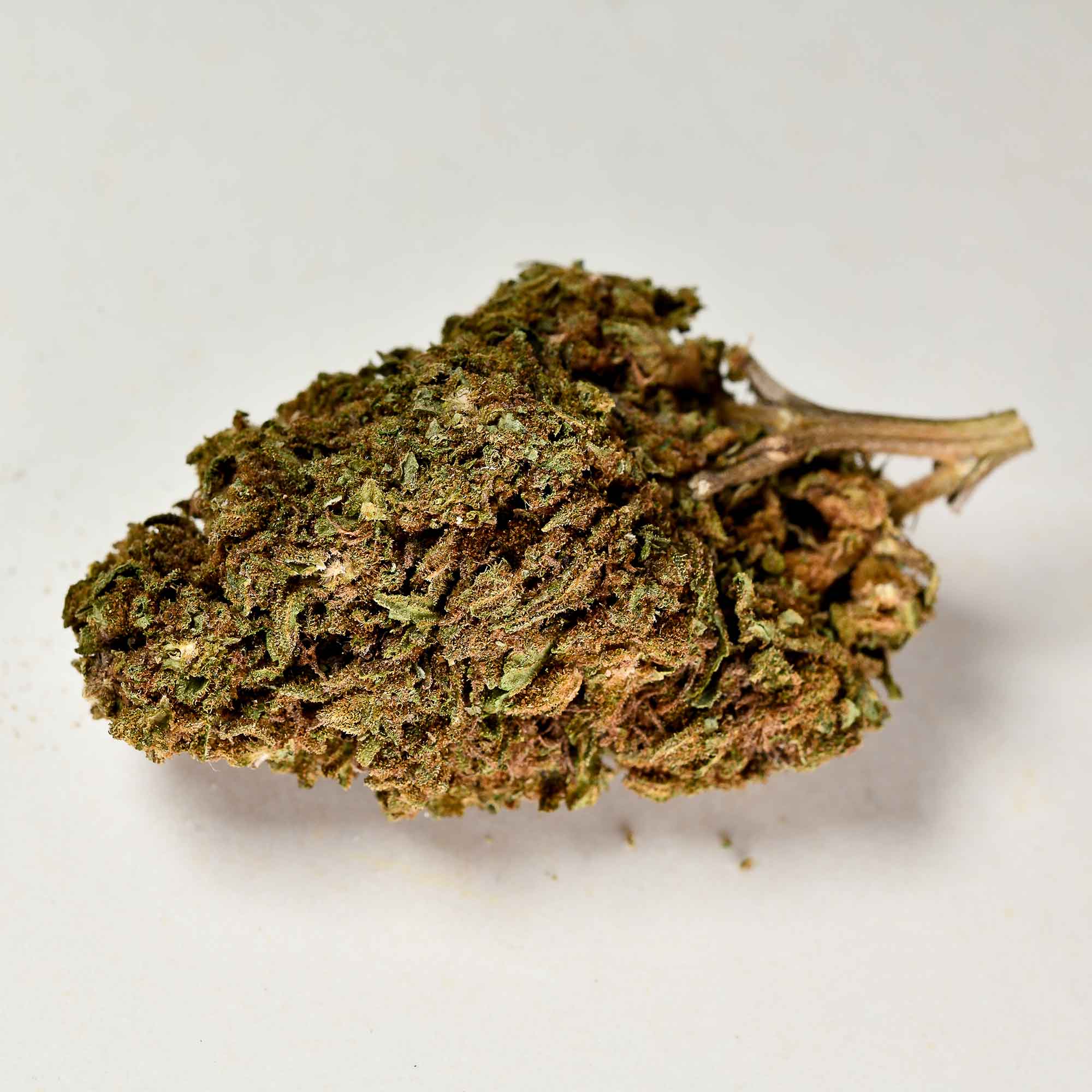 infiorescenza-legale-tropical-a-tutta-canapa