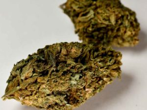 Uk Cheese CBD 9%